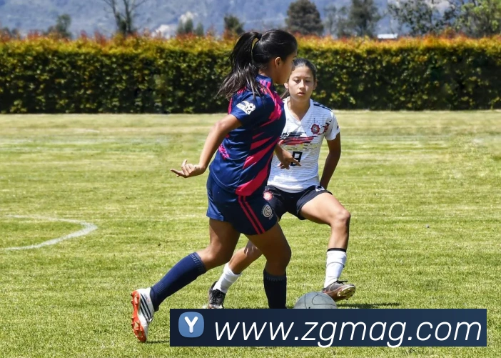 ag官网品牌故事